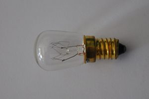 Bulb 19