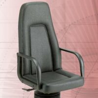 Gemini Chair (Re-Upholstered)