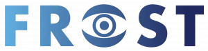 Frost